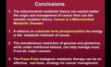 cancer mitochondria and metabolism