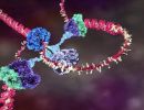 dna animation 2002 by drew