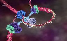 dna animation 2002 by drew