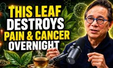 put this leaf in hot water and