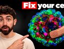 the cell repair trick to live